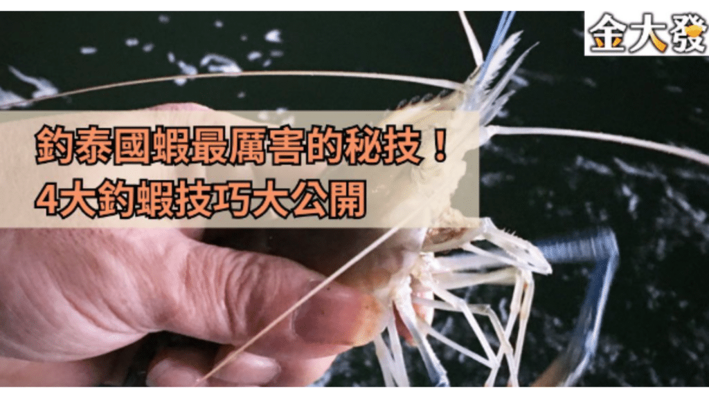 釣泰國蝦最厲害的秘笈公開